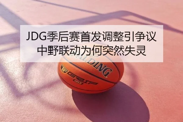 JDG季后赛首发调整引争议 中野联动为何突然失灵