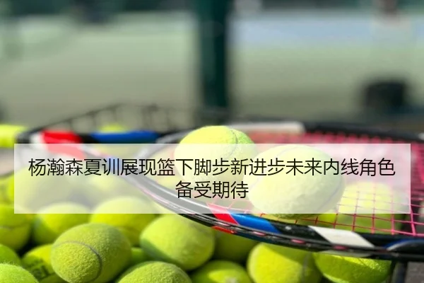 杨瀚森夏训展现篮下脚步新进步未来内线角色备受期待