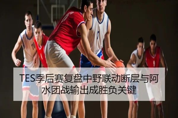 TES季后赛复盘中野联动断层与阿水团战输出成胜负关键