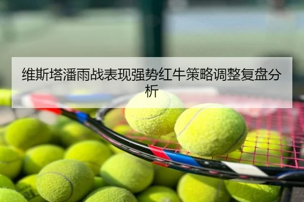 维斯塔潘雨战表现强势红牛策略调整复盘分析